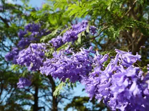 Minoan Palace of Knossos  - CRETE