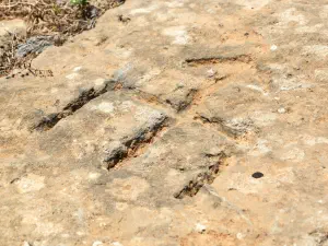 Minoan Palace of Malia  - CRETE