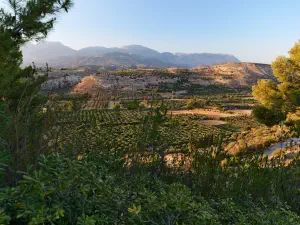 Minoan Palace of Phaistos  - CRETE