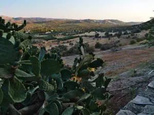 Minoan Palace of Phaistos  - CRETE