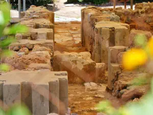 Minoan Villa of Niros  - CRETE