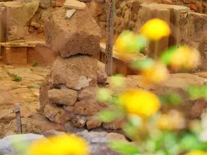 Minoan Villa of Niros  - CRETE