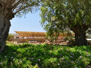 Minoan Villa of Niros  - CRETE