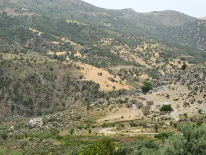 Nea Vorizia  - CRETE