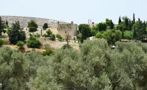 Odigitria Monastery  - CRETE