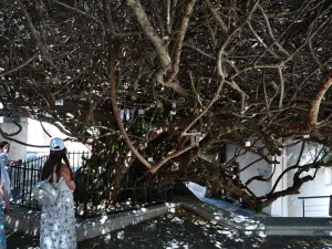 Paliani Monastery  - CRETE