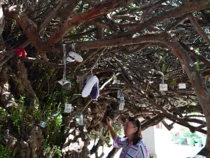 Paliani Monastery  - CRETE