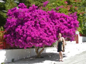 Panagia Kaliviani Monastery  - CRETE