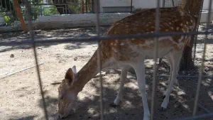 Panagia Kaliviani Monastery  - CRETE