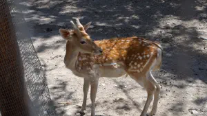 Panagia Kaliviani Monastery  - CRETE