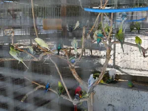 Panagia Kaliviani Monastery  - CRETE