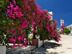 Panagia Kaliviani Monastery  - CRETE