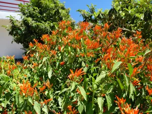 Panagia Kaliviani Monastery  - CRETE