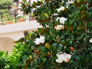 Panagia Kera Kardiotissa Monastery  - CRETE