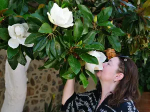Panagia Kera Kardiotissa Monastery  - CRETE