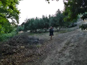 Roufas Caves  - CRETE