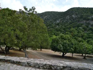 Rouvas Forest  - CRETE