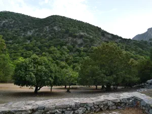 Rouvas Forest  - CRETE