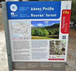 Rouvas Forest  - CRETE
