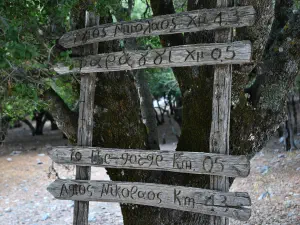 Rouvas Forest  - CRETE