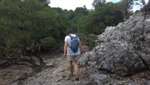 Rouvas Forest  - CRETE