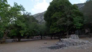 Rouvas Forest  - CRETE