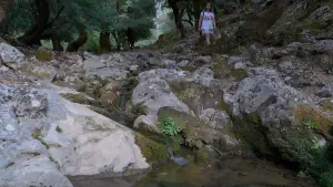 Rouvas Forest  - CRETE