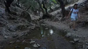 Rouvas Forest  - CRETE