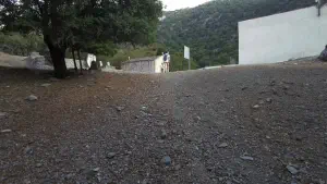 Rouvas Forest Agios Ioannis Church  - CRETE