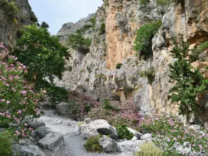 Rouvas Gorge  - CRETE