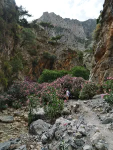 Rouvas Gorge  - CRETE