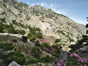 Rouvas Gorge  - CRETE