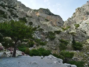 Rouvas Gorge  - CRETE