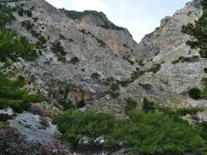 Rouvas Gorge  - CRETE