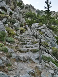 Rouvas Gorge  - CRETE