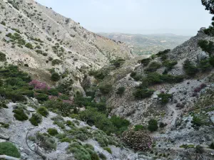 Rouvas Gorge  - CRETE