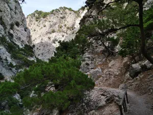 Rouvas Gorge  - CRETE