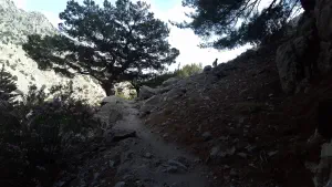 Rouvas Gorge  - CRETE