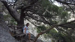 Rouvas Gorge  - CRETE