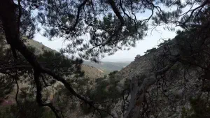 Rouvas Gorge  - CRETE