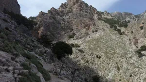 Rouvas Gorge  - CRETE