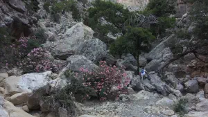 Rouvas Gorge  - CRETE