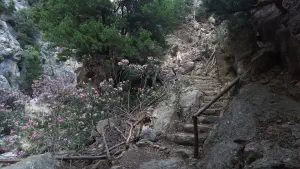 Rouvas Gorge  - CRETE