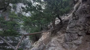 Rouvas Gorge  - CRETE
