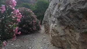 Rouvas Gorge  - CRETE