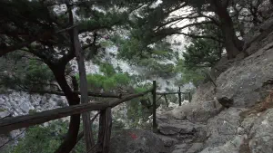 Rouvas Gorge  - CRETE