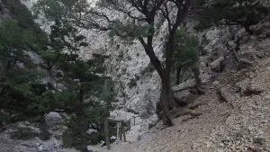 Rouvas Gorge  - CRETE