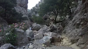 Rouvas Gorge  - CRETE