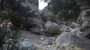 Rouvas Gorge  - CRETE