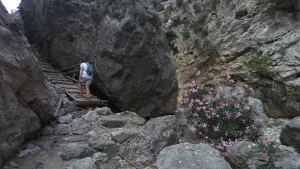 Rouvas Gorge  - CRETE